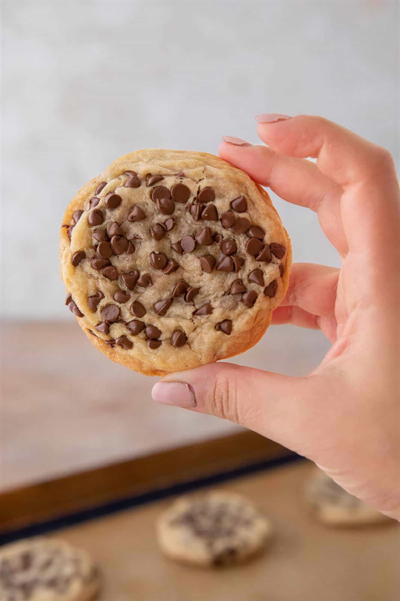 Soft and chewy chocolate chip sugar cookie held in hand.