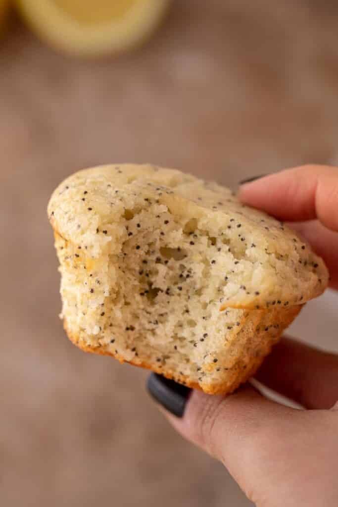 Hand holding lemon poppy muffins