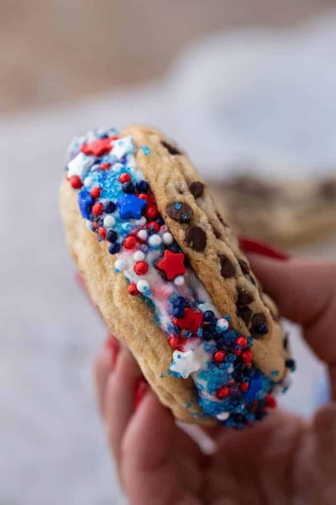 Hand holding patriotic ice cream sandwich