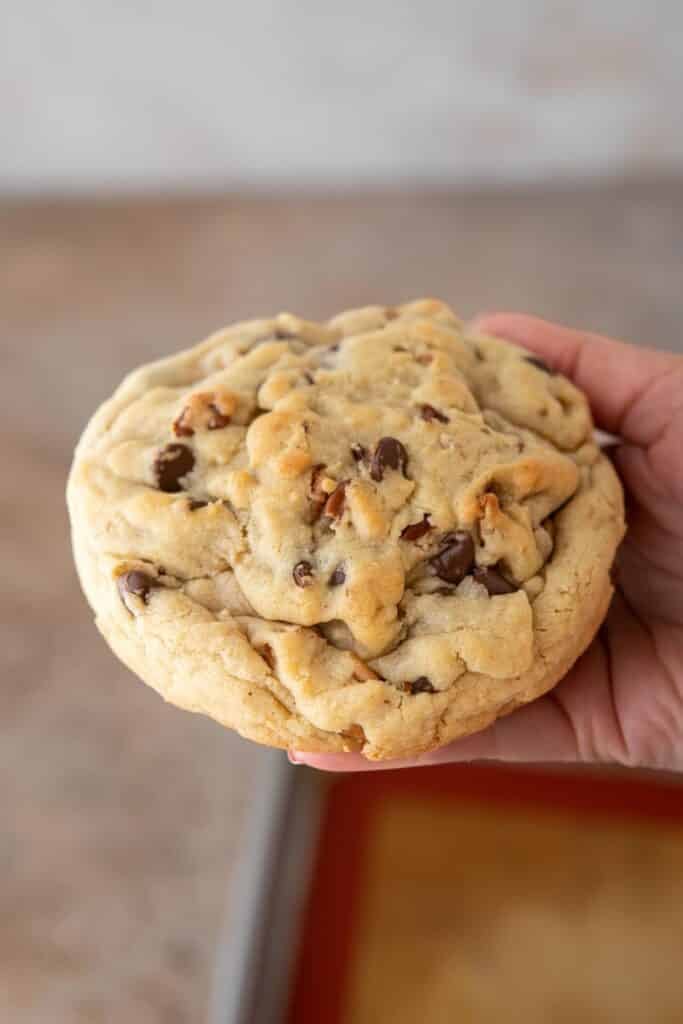 Hand holding Single serve levain chocolate chip walnut cookie