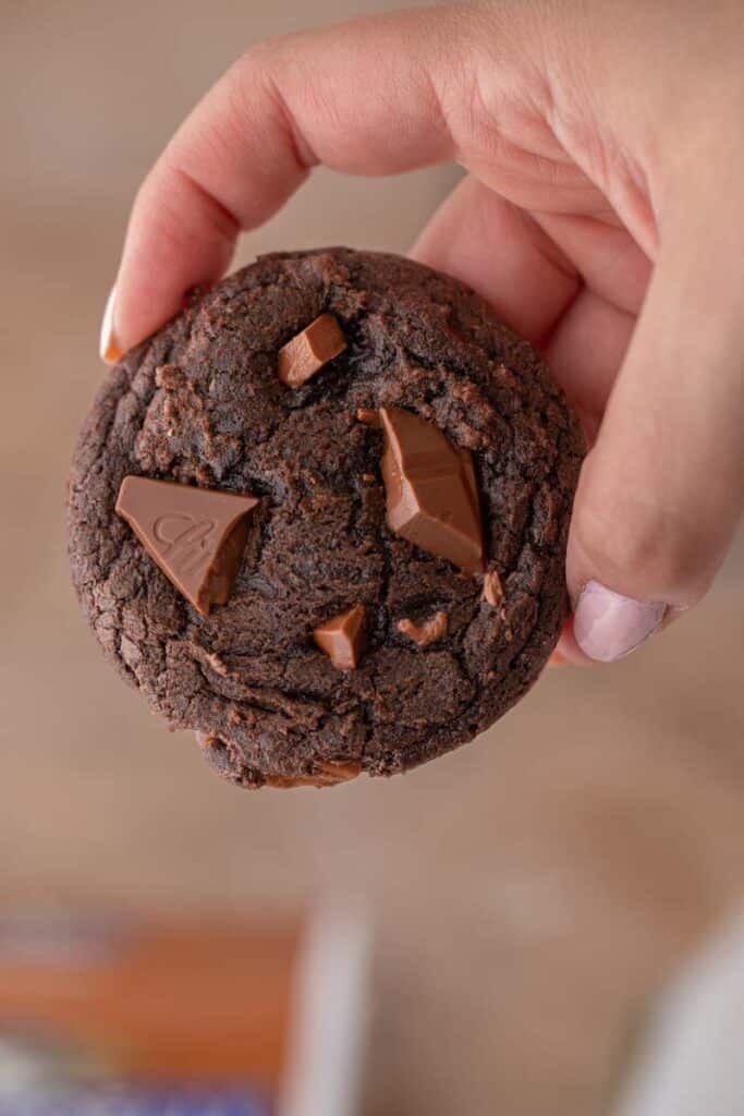 Hand holding brownie mix cookie