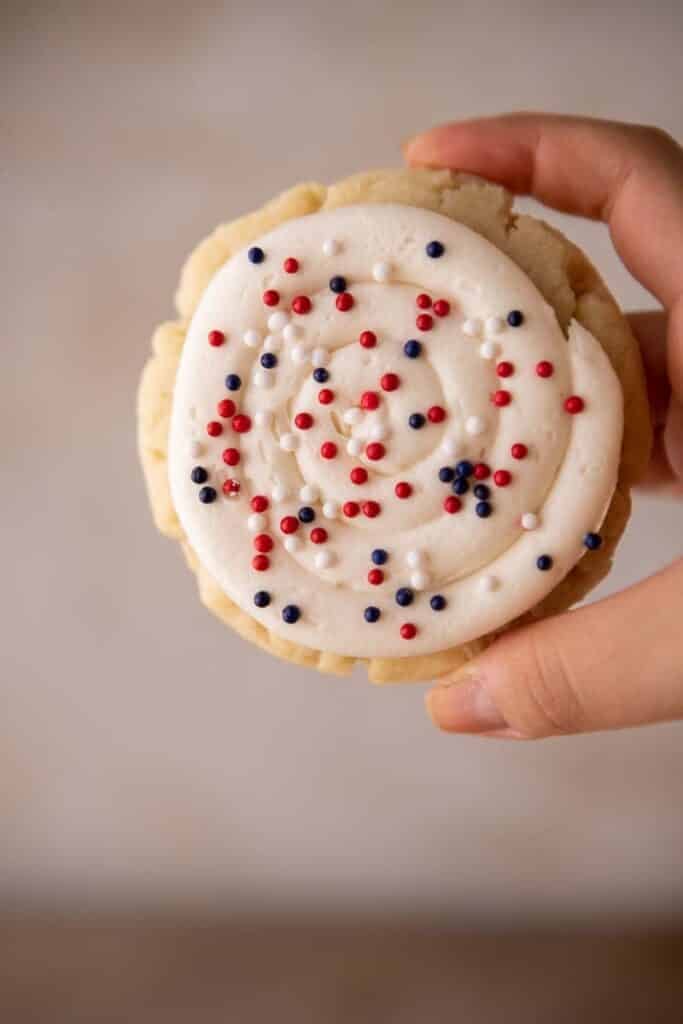 Hand holding patriotic sugar cookie