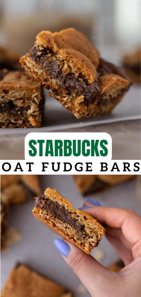 Starbucks oat fudge bars 