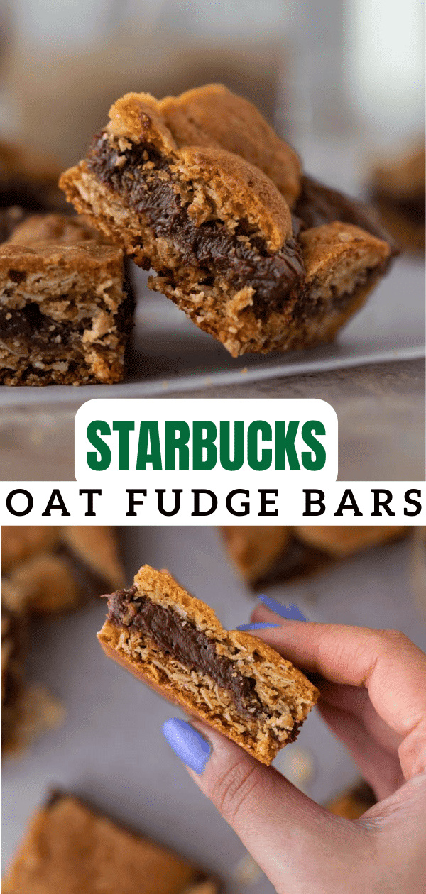 The Best Starbucks Oat Fudge Bars Lifestyle of a Foodie