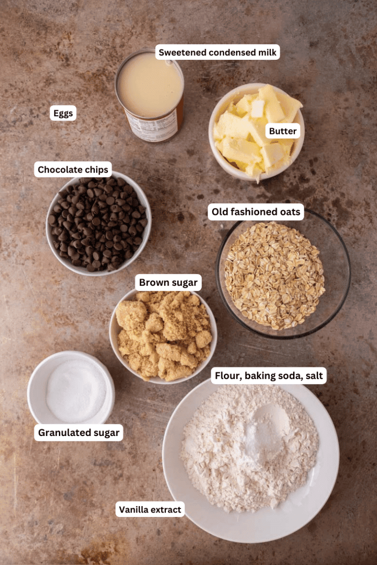 The Best Starbucks Oat Fudge Bars Lifestyle of a Foodie