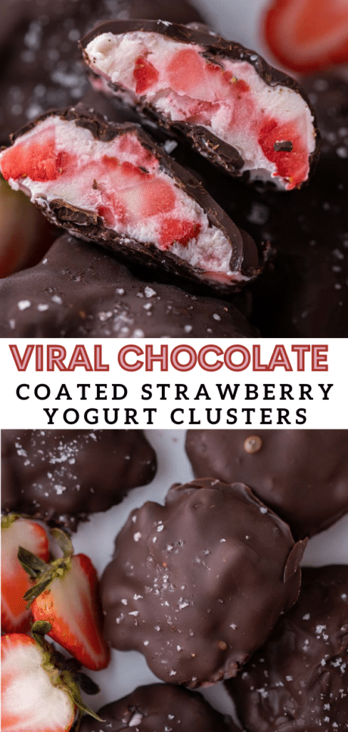 Viral chocolate strawberry yogurt clusters
