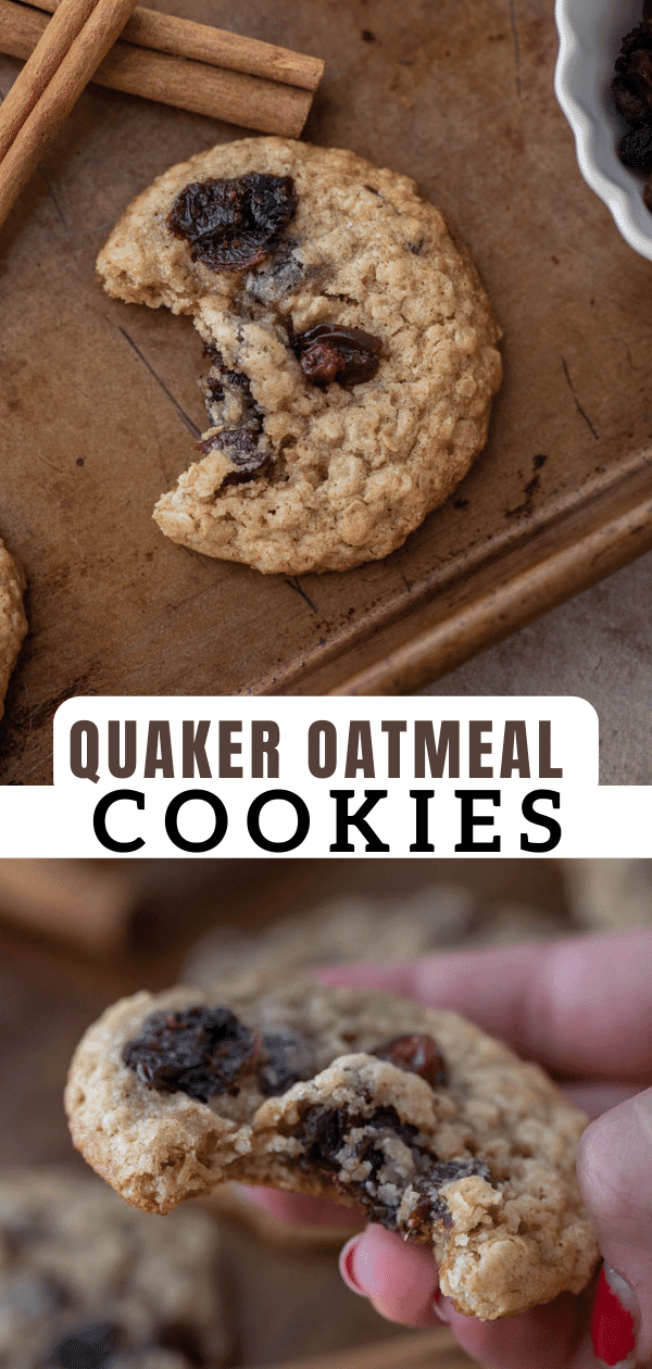 The best Original Quaker oatmeal cookie recipe - Lifestyle of a Foodie