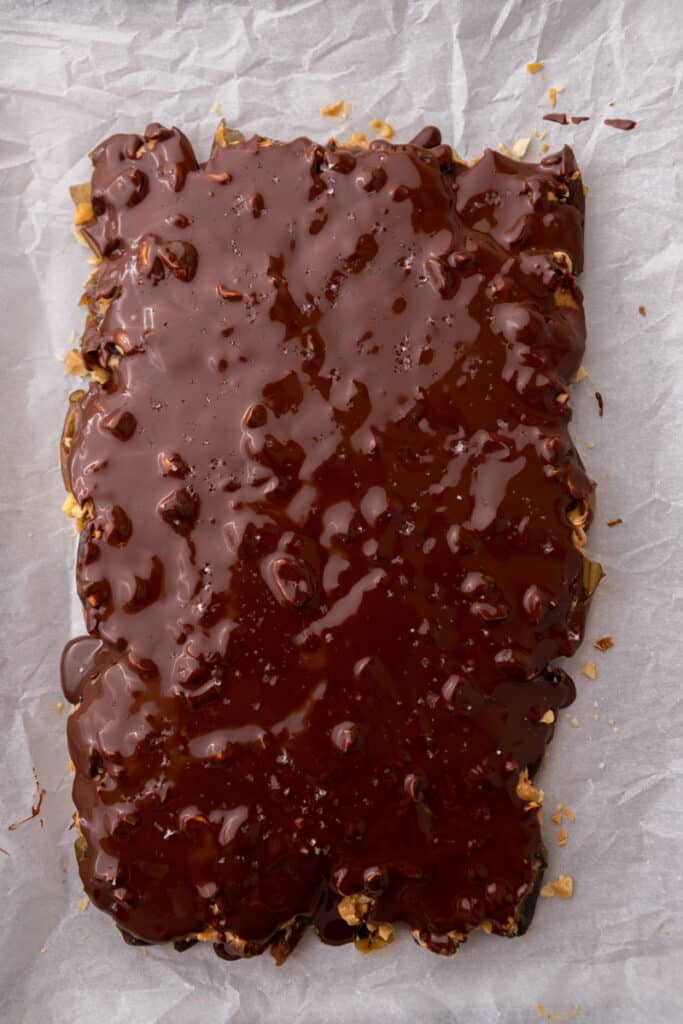 Date bark with melted chocolate on top