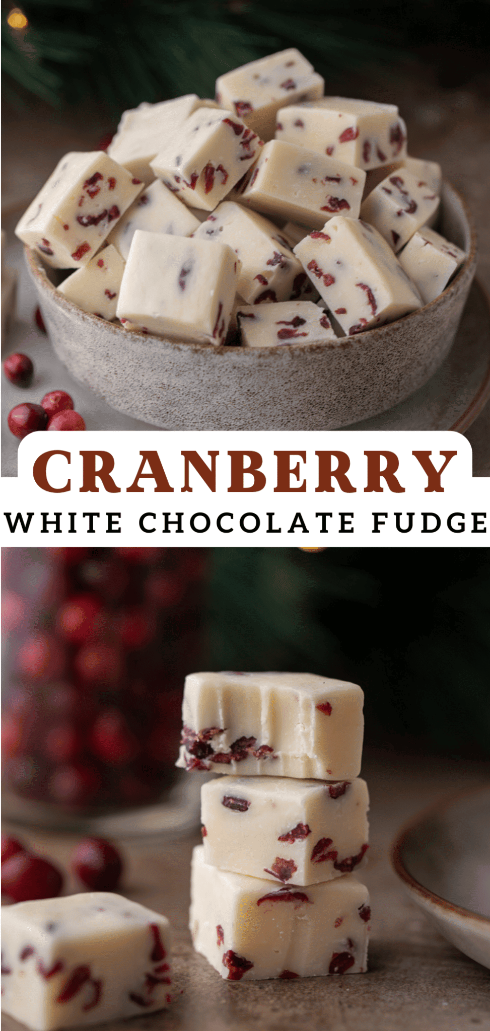 The Best Cranberry White Chocolate Fudge Recipe Lifestyle of a Foodie