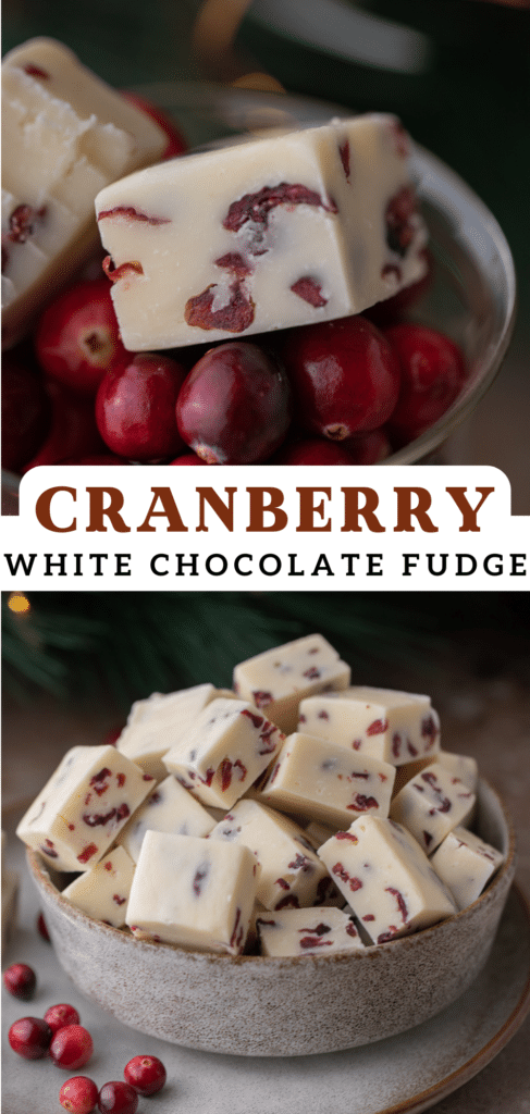 pinterest pin for cranberry white chocolate fudge recipe
