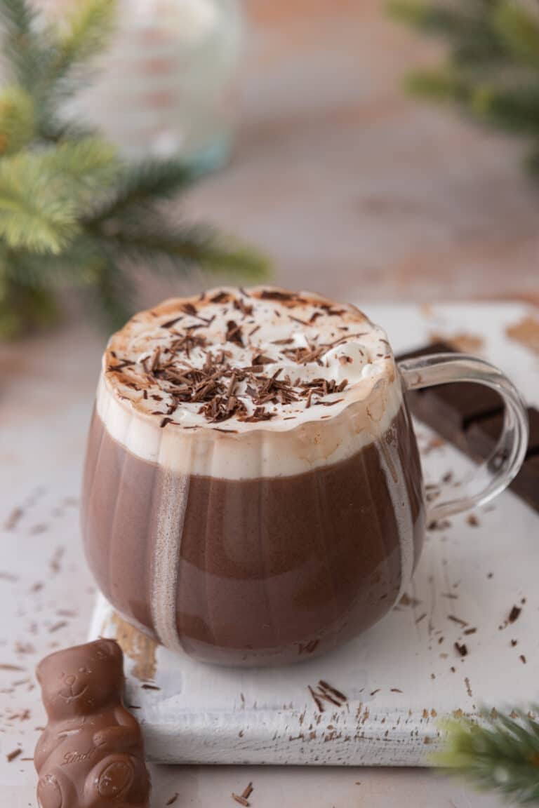 Easy Homemade Hot Chocolate For One Recipe Lifestyle of a Foodie