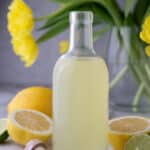 how to make homemade lemon sour mix in a bottle on a table