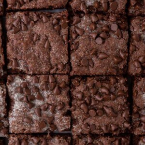 chocolate sugar cookie bars recipe cut into squares