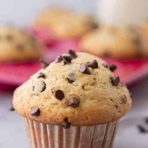 close up of the sourdough chocolate chip muffins