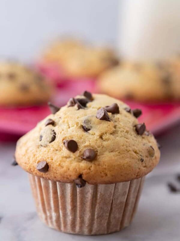 close up of the sourdough chocolate chip muffins