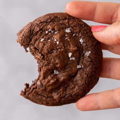 Hand holding brownie cookie