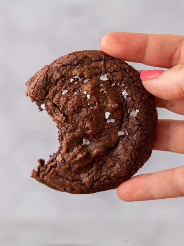 Hand holding brownie cookie