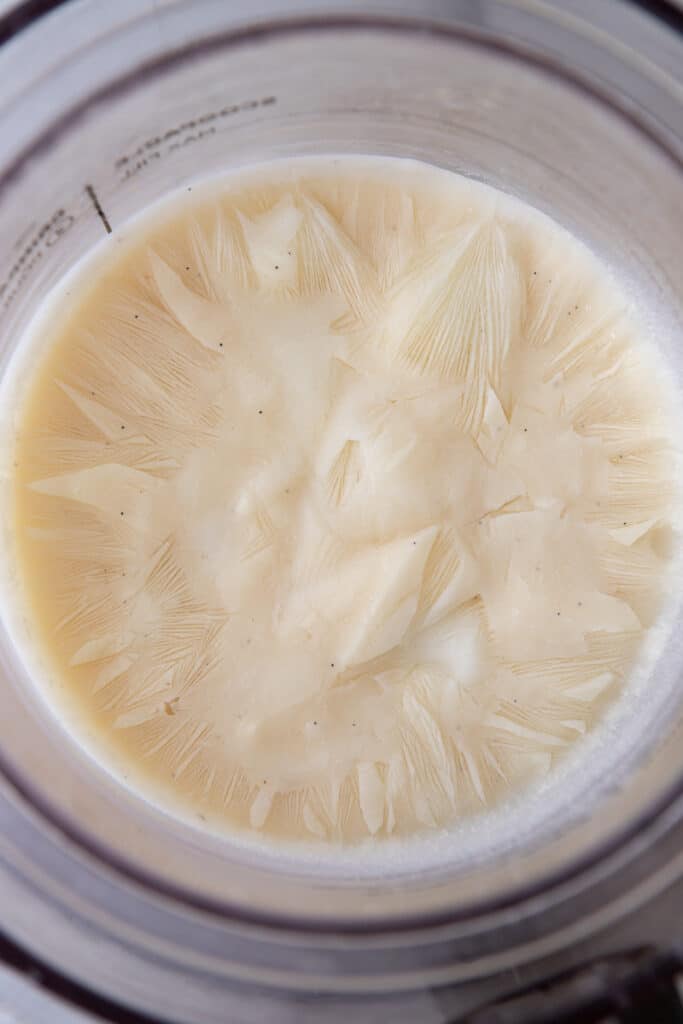 ingredients frozen in a pint cup