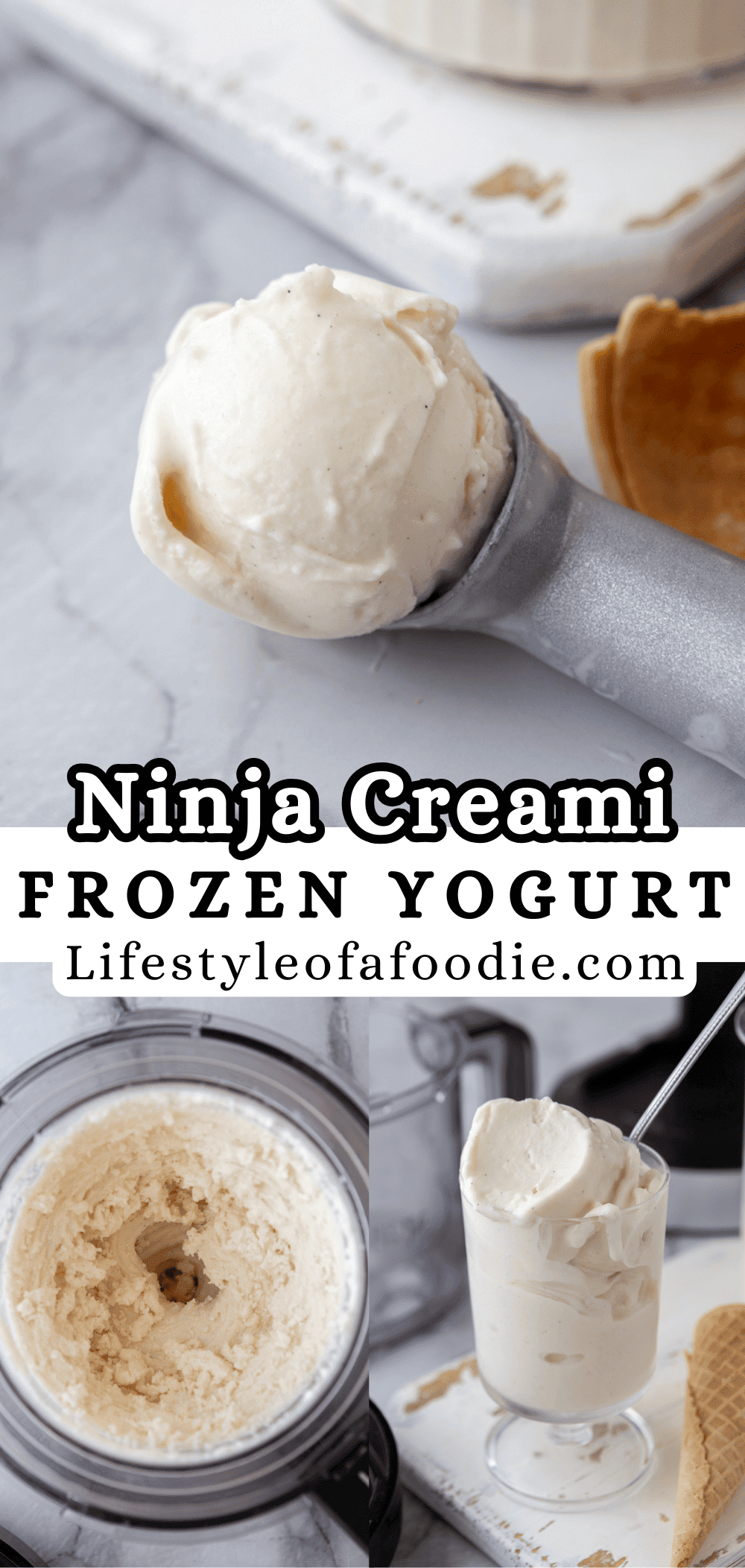 Frozen Joghurt Ninja Creami