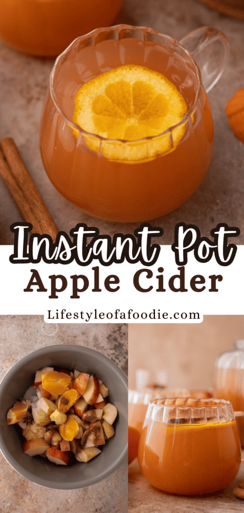 instant pot apple cider recipe pinterest pin