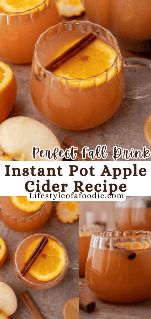 instant pot apple cider recipe pinterest pin