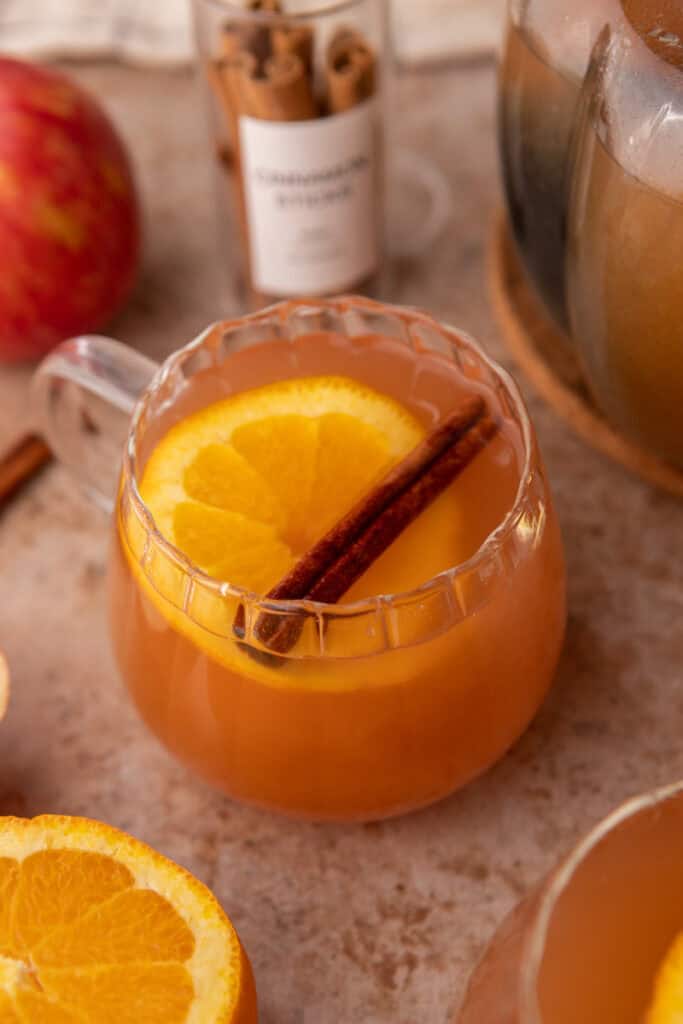 instant pot apple cider recipe overhead shot