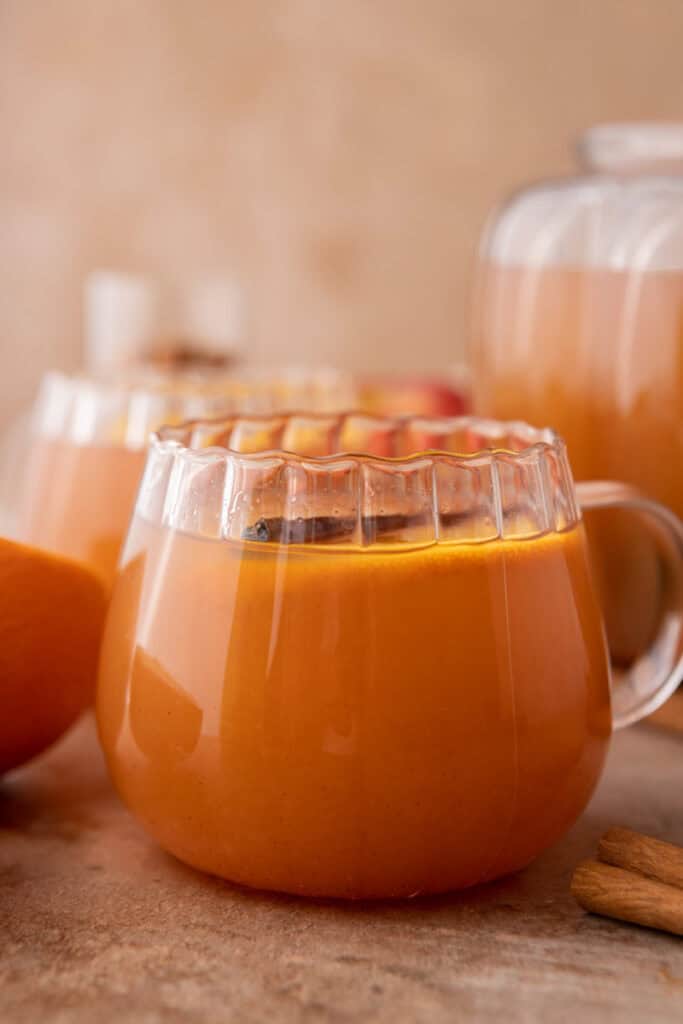 instant pot apple cider recipe in a cup