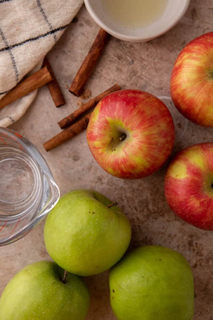 Instant Pot Apple Sauce Recipe ingredients