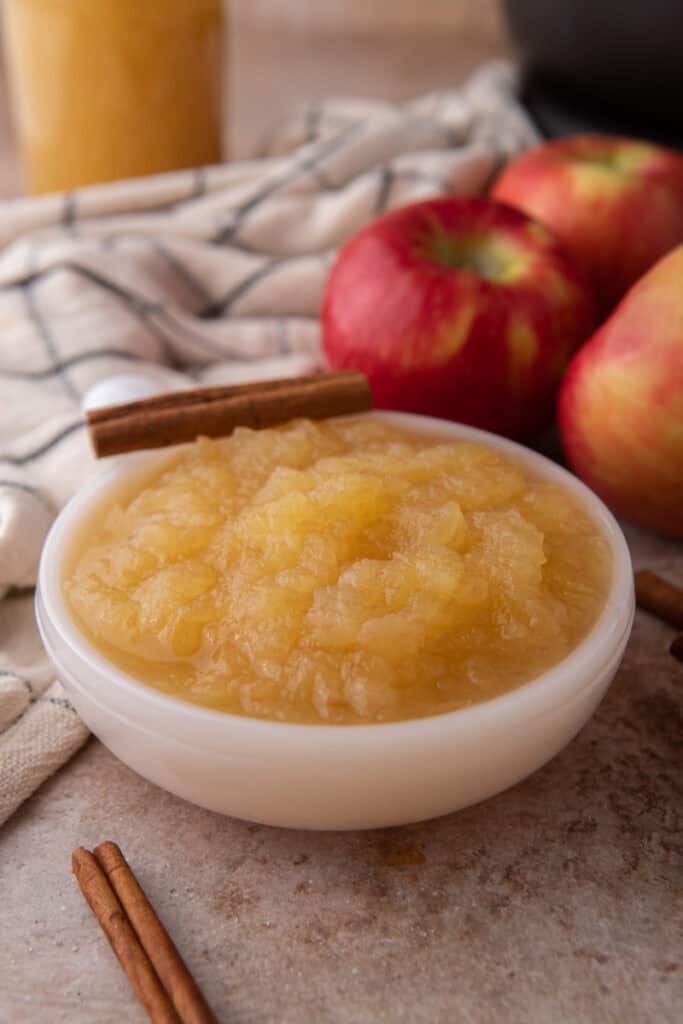 instant pot apple sauce in a dish