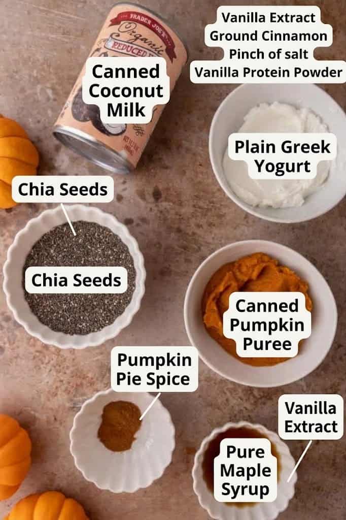 Coconut milk, chia seeds, Greek yogurt, pumpkin puree, pumpkin pie spice, and maple syrup in bowls.