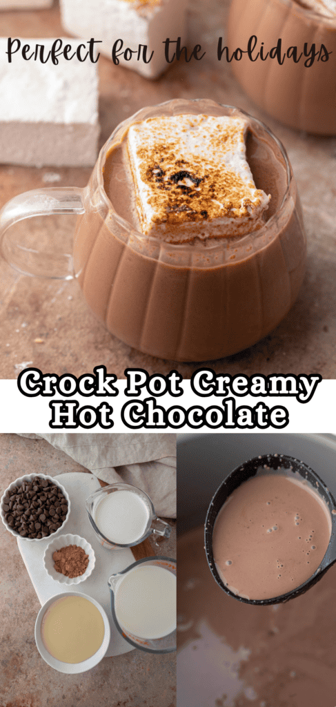 Crock pot hot chocolate recipe