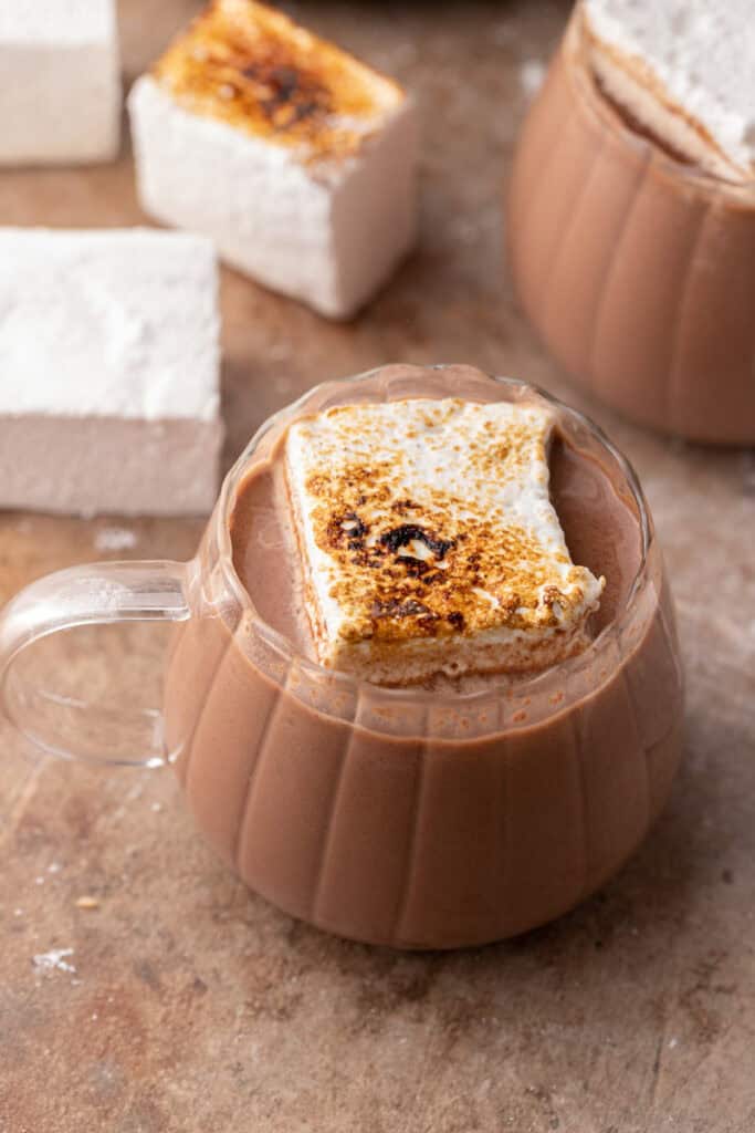 hot cocoa in a crock pot recipe overhead view