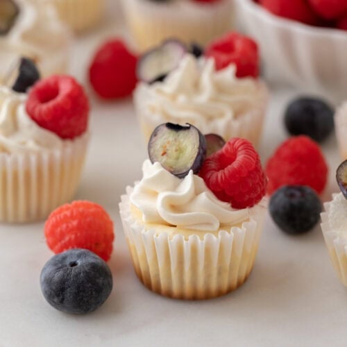 mini cheesecakes with nilla wafers on a plate