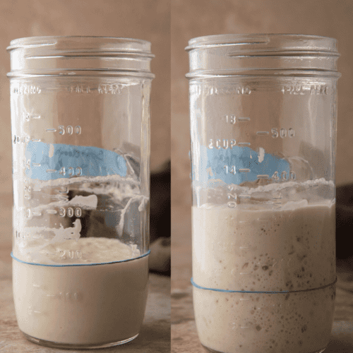 Sourdough starter recipe