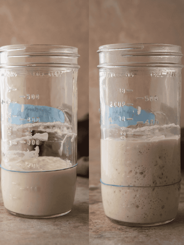 Sourdough starter recipe