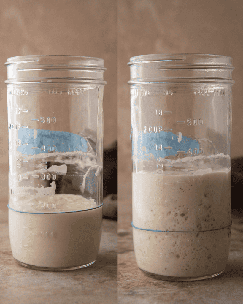 Sourdough starter recipe