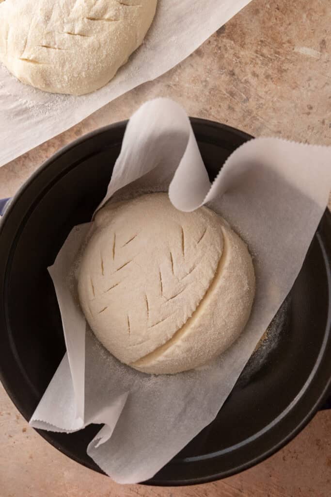 dough ball on parchment paper in a dutch oven