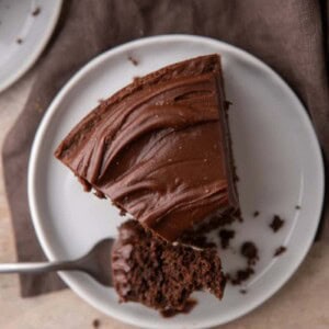 Sourdough Discard Chocolate Cake recipe overhead shot