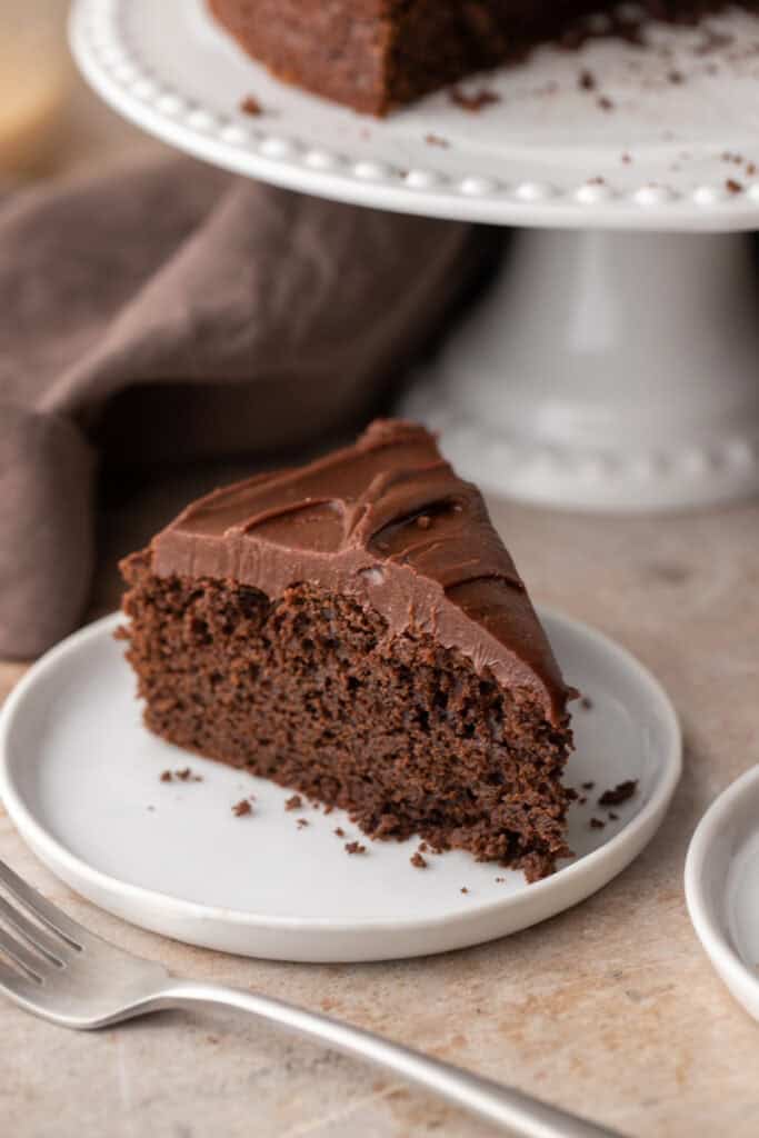 Sourdough Discard Chocolate Cake on a plate