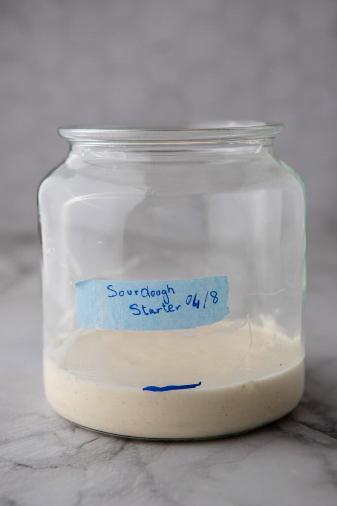 Mature sourdough starter