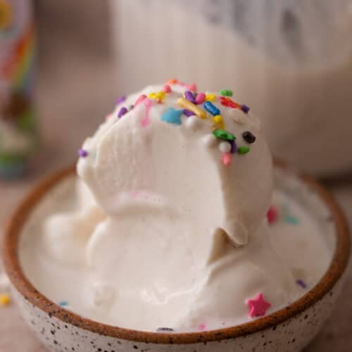 Cottage Cheese Ninja Creami Ice Cream in a bowl