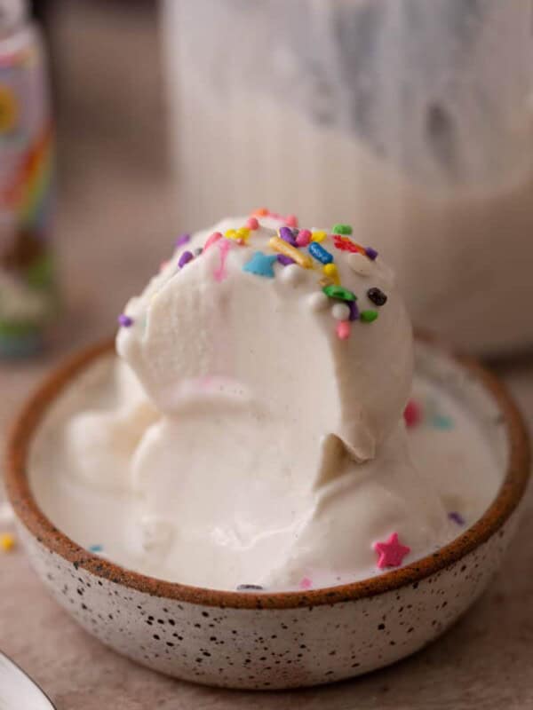 Cottage Cheese Ninja Creami Ice Cream in a bowl