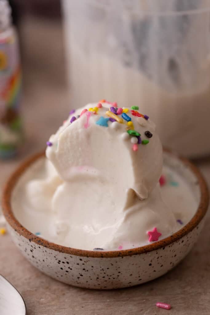 Cottage Cheese Ninja Creami Ice Cream in a bowl