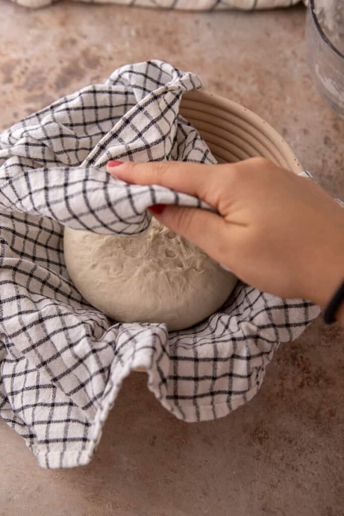 same day sourdough bread dough sitting in a basket