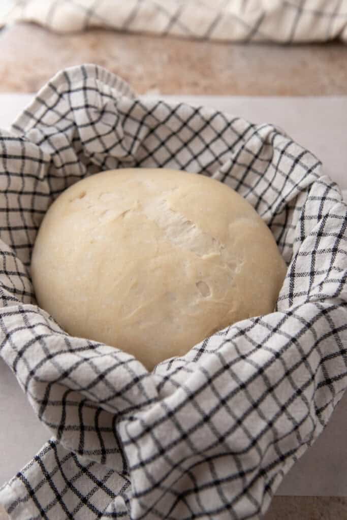 same day sourdough bread dough sitting in a basket