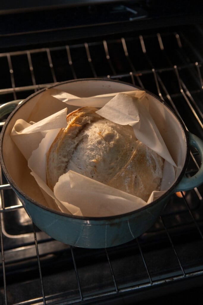 same day sourdough bread being baked