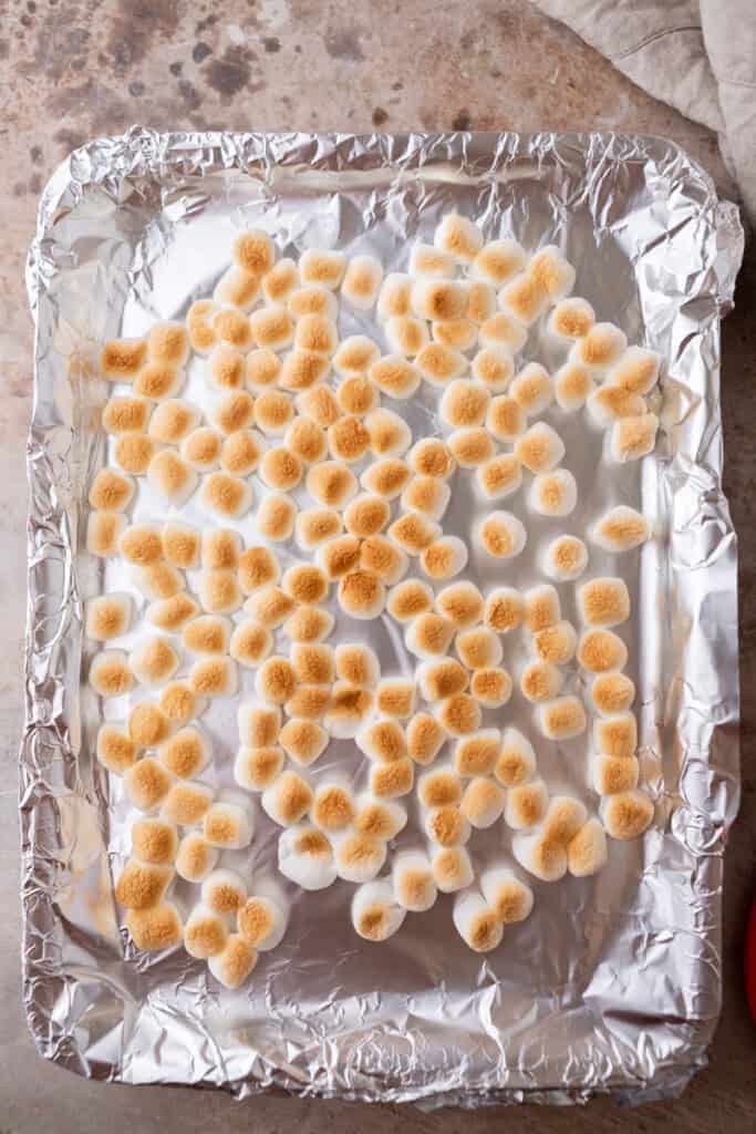 ingredients on a baking sheet