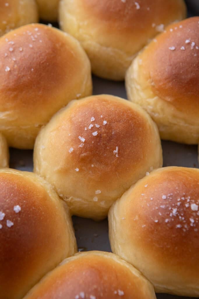 Baked homemade dinner rolls with flaky sea salt on top