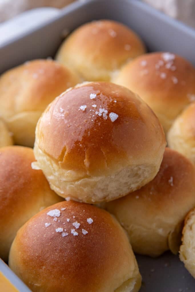 Homemade Soft dinner Rolls