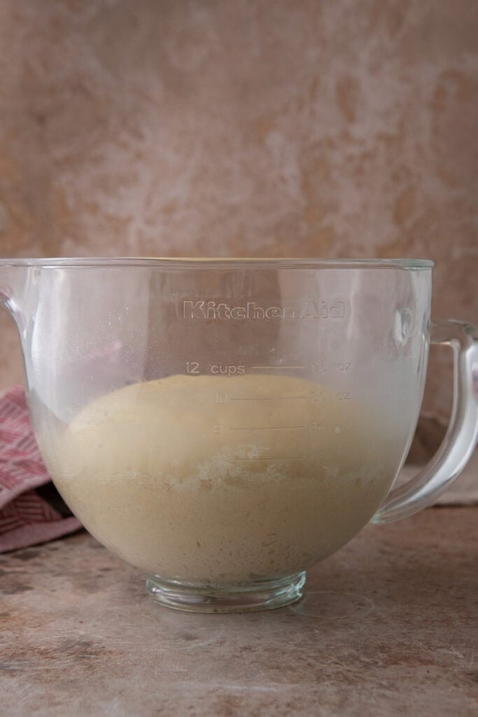 BRead dough after it doubled in size